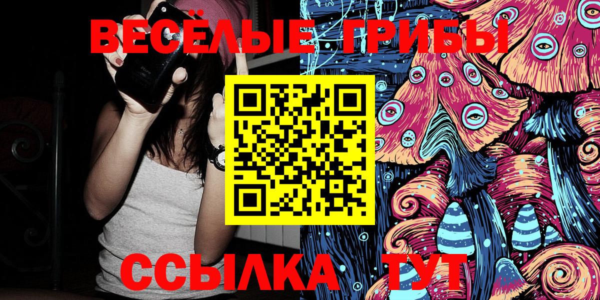 Ржев  как найти   Вход с VPN  Галлюциногенные грибы мухоморы  Галлюциногенные грибы Psilocybine cubensis 